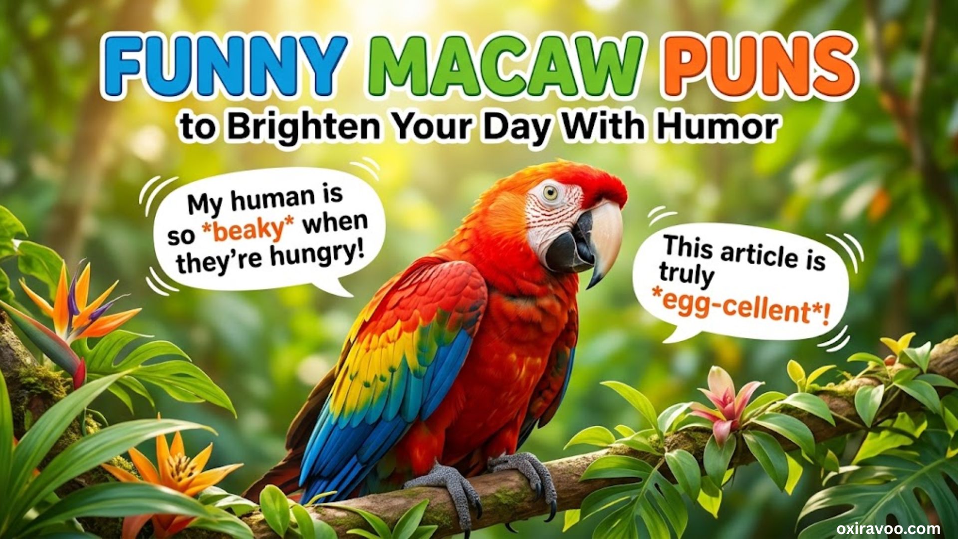 Macaw Puns